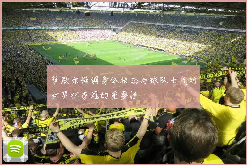 萨默尔强调身体状态与球队士气对世界杯夺冠的重要性